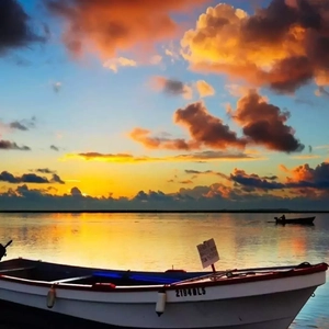 初女自我安慰伸缩
